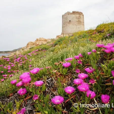 Mare Blu Isola Rossa (Sassari)